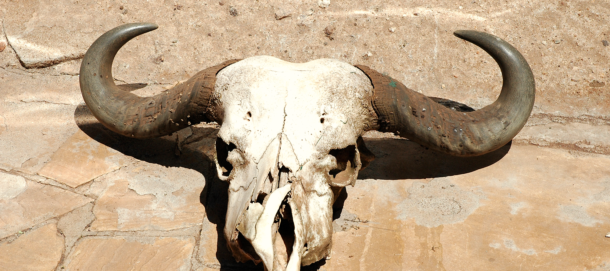 Motorradreisen Afrika, Kalahari-Wüste, Botswana