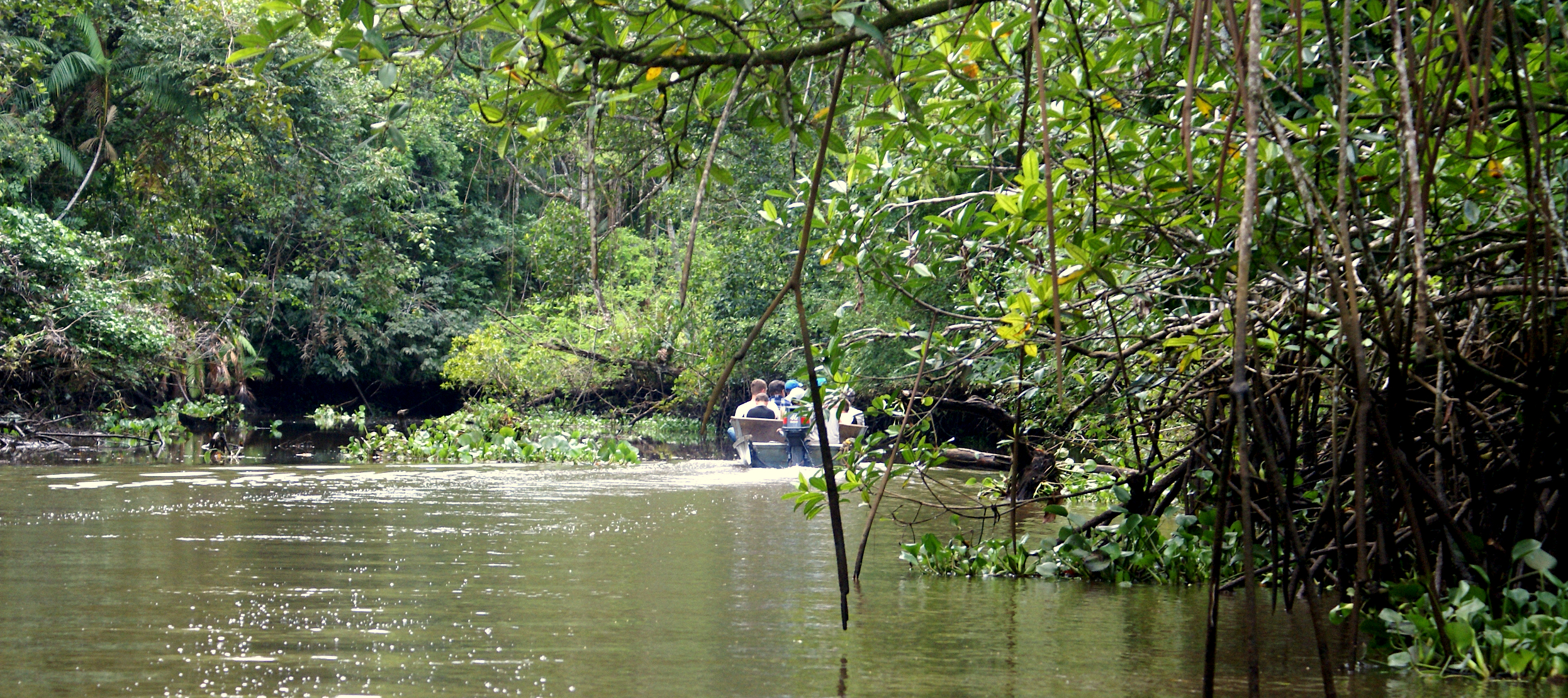 Erlebnis-Reisen Suedamerika, Orinoco-Delta