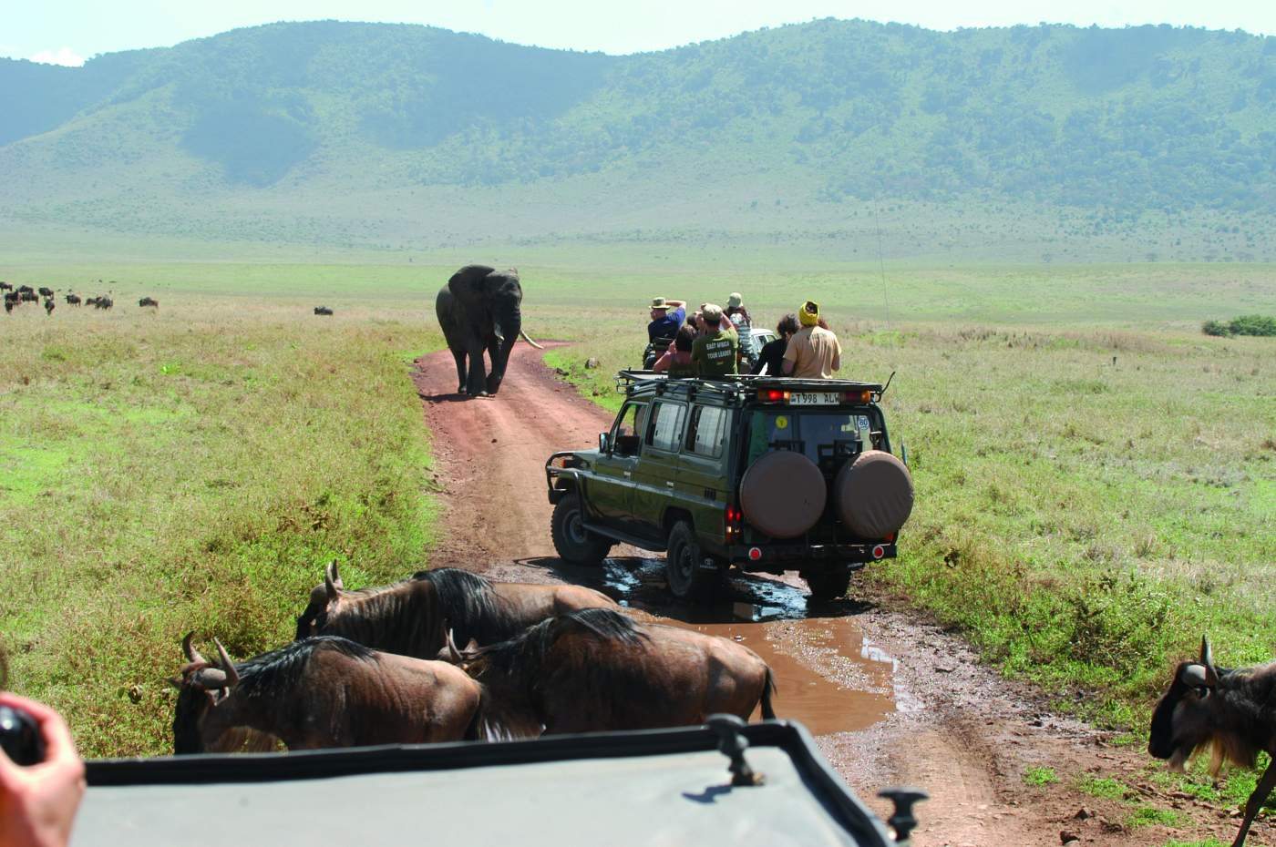 Ngorongoro Safari Elefant Geländewagen