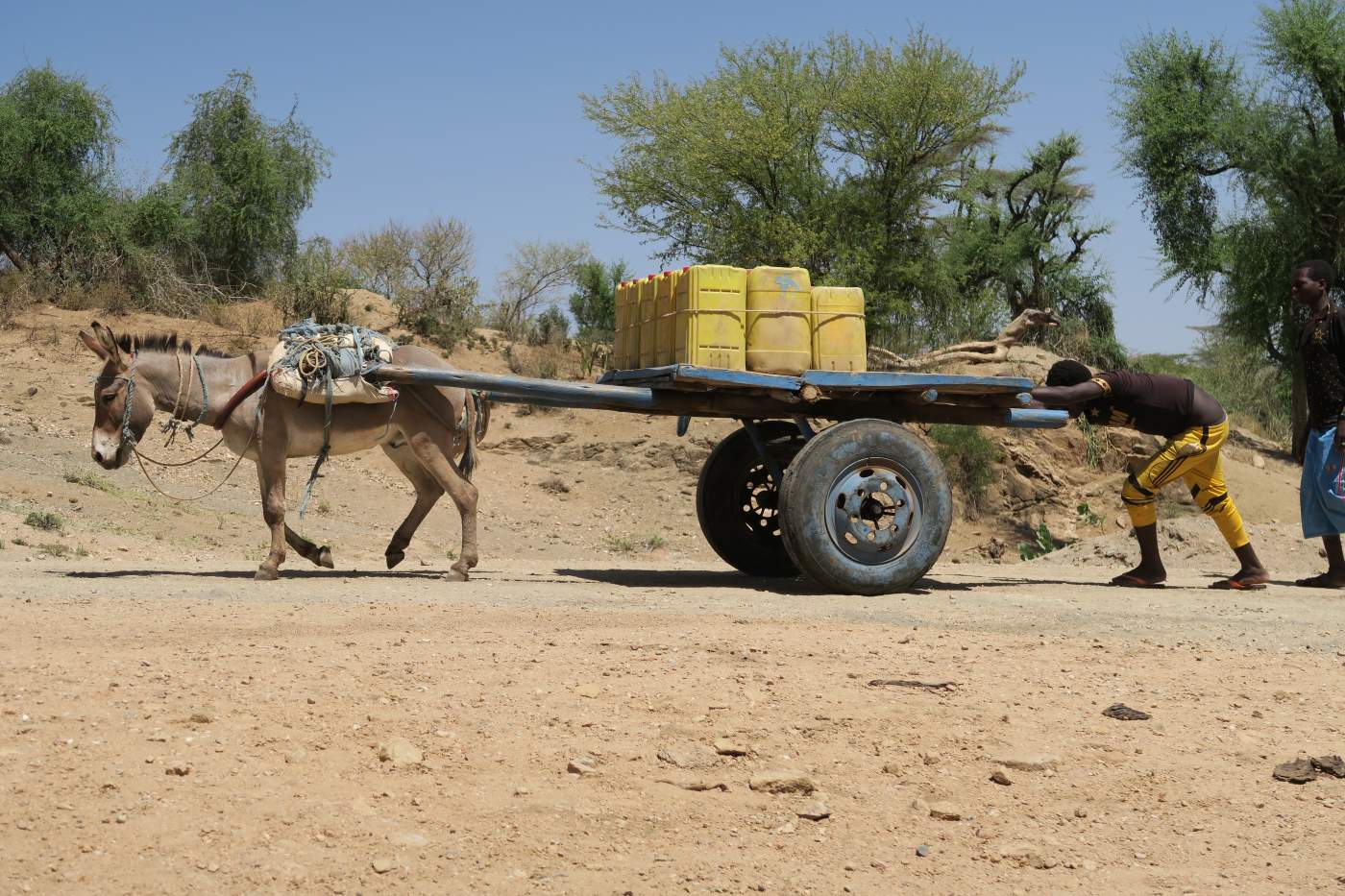 Mit OVERCROSS durch die Afrika