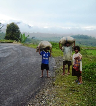 Indonesien  Motorradreisen durch Bali Lombok Sumbawa