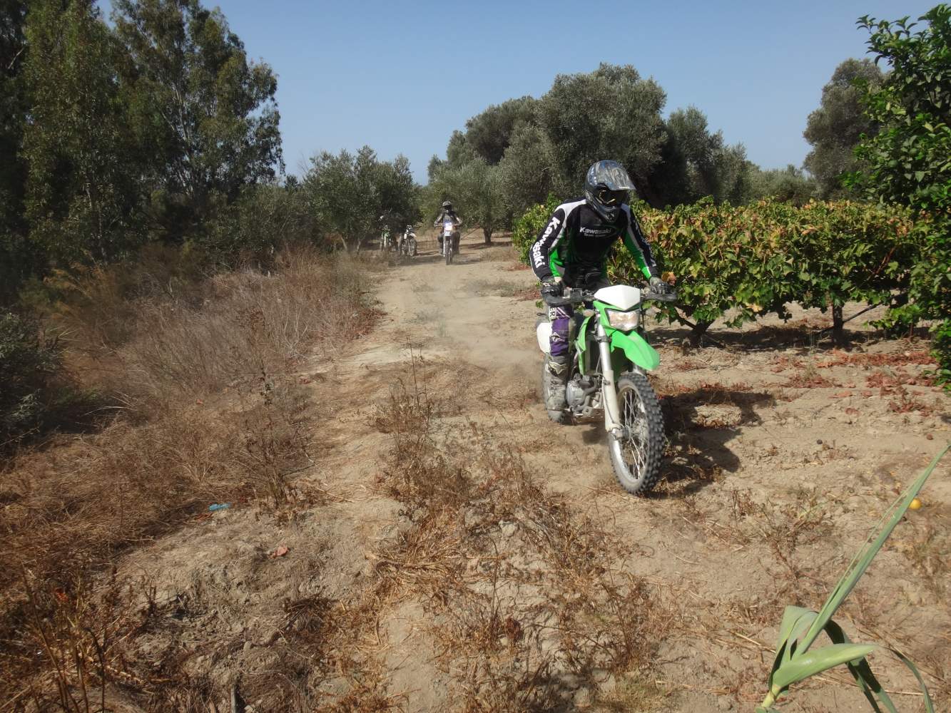 Enduro-Reisen in griechischen Olivenhainen