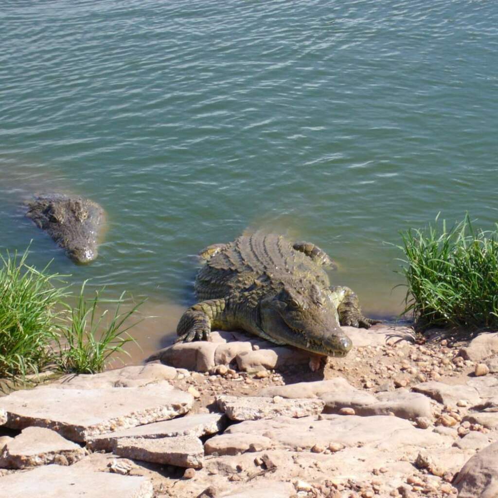 Kavango-Fluss