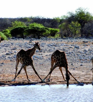 Campingsafari in Südafrika & Namibia