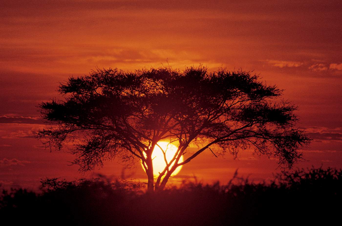Offroad-Abenteuer in Angola: Entdecke wilde Landschaften!